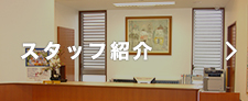 スタッフ紹介